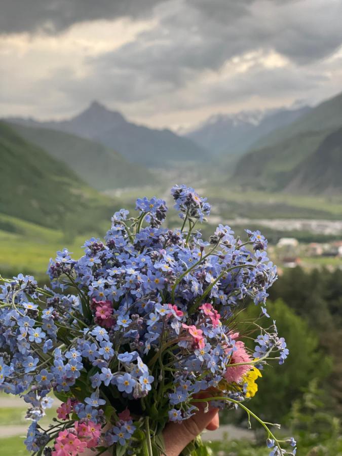 Aura Cottages Kazbegi Ngoại thất bức ảnh