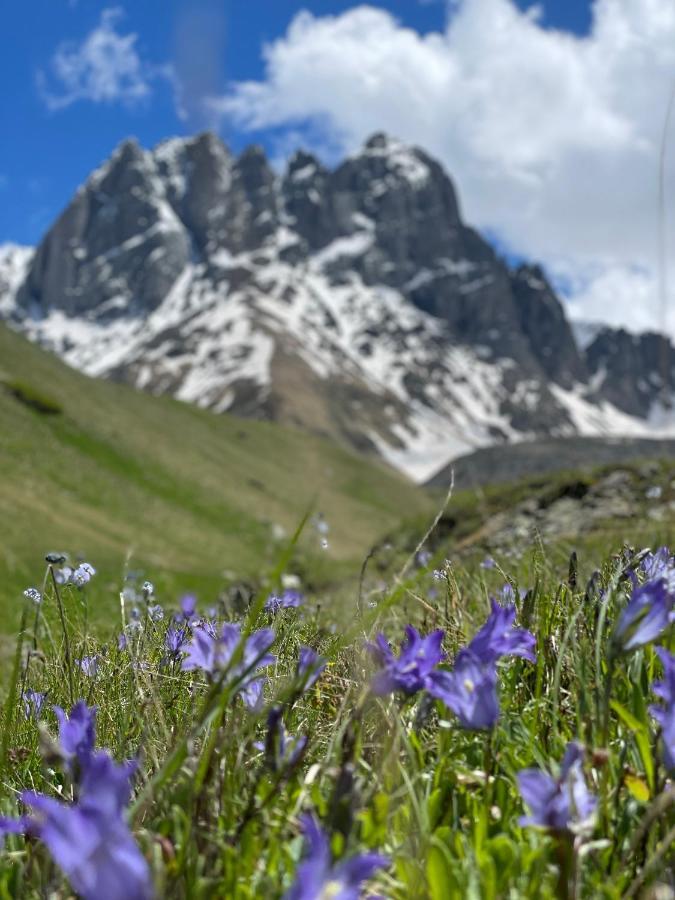 Aura Cottages Kazbegi Ngoại thất bức ảnh